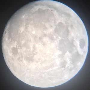 Meet your Posher, Luis